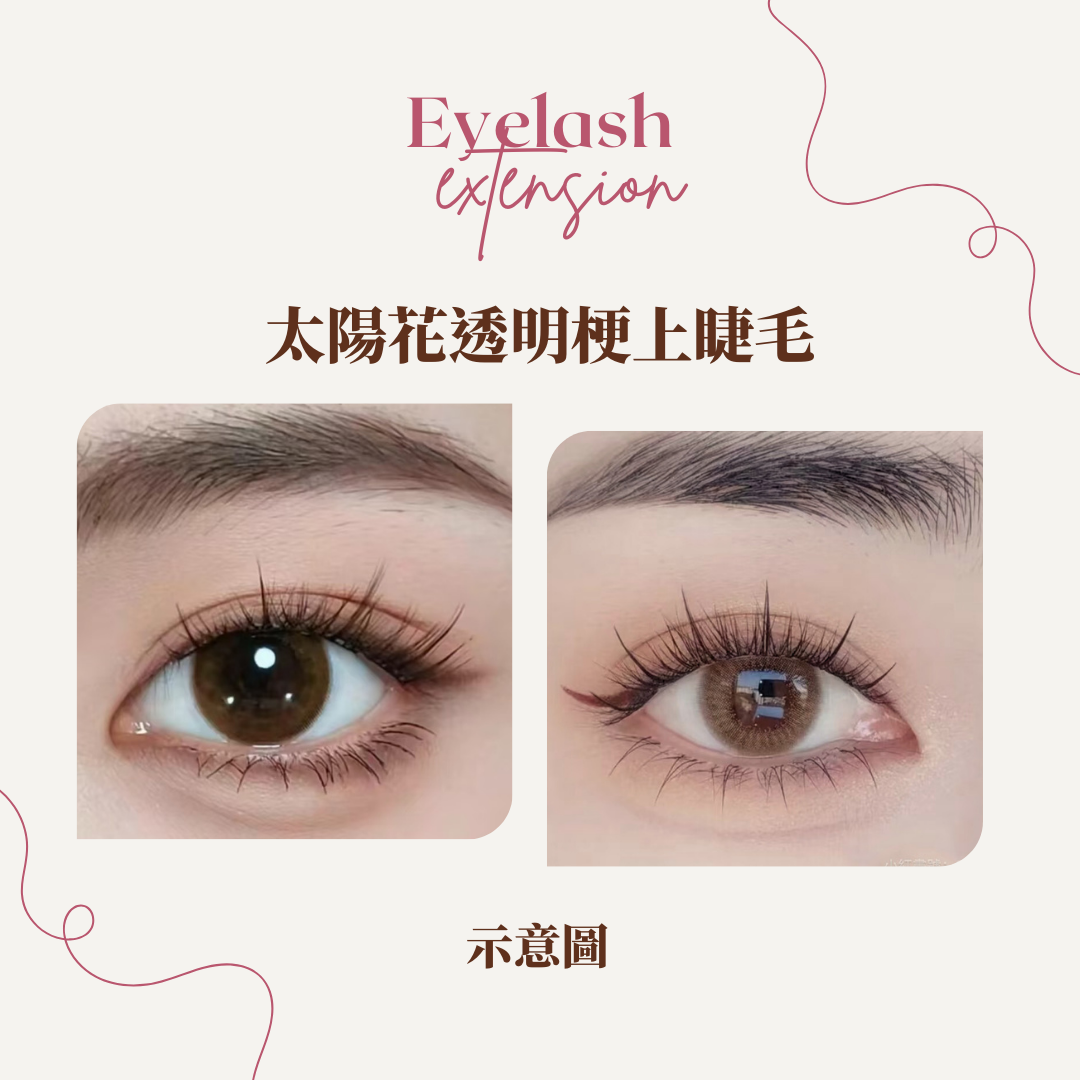 太陽花透明梗上睫毛 ✦ Sunflower Lashes